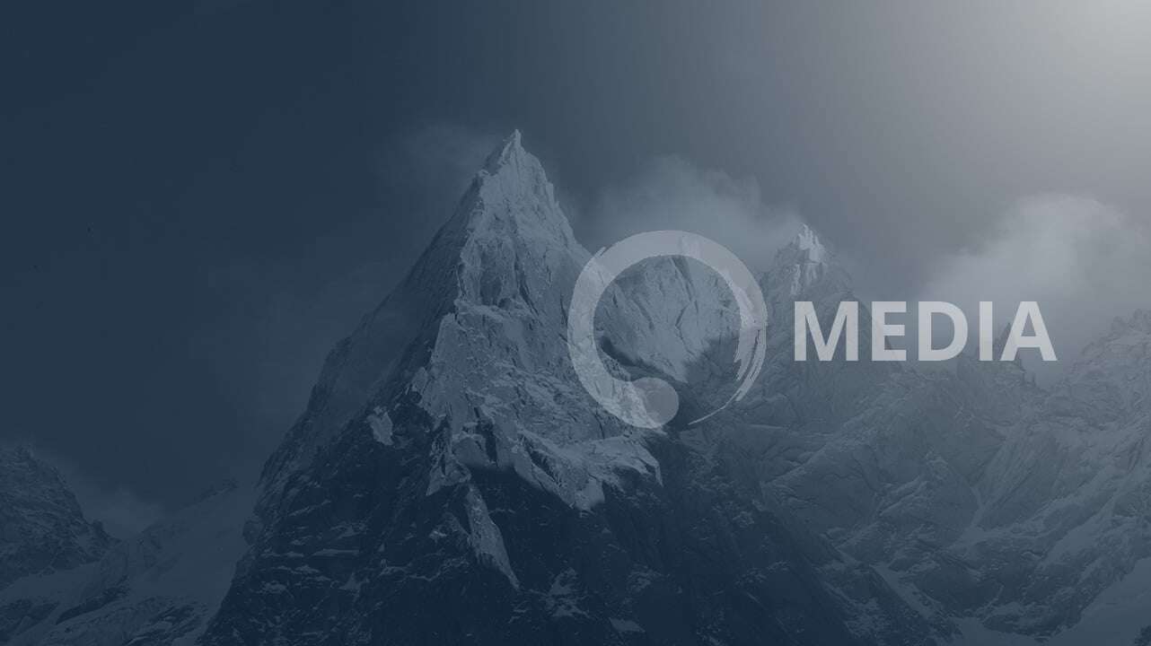 Investment Update: February 2025